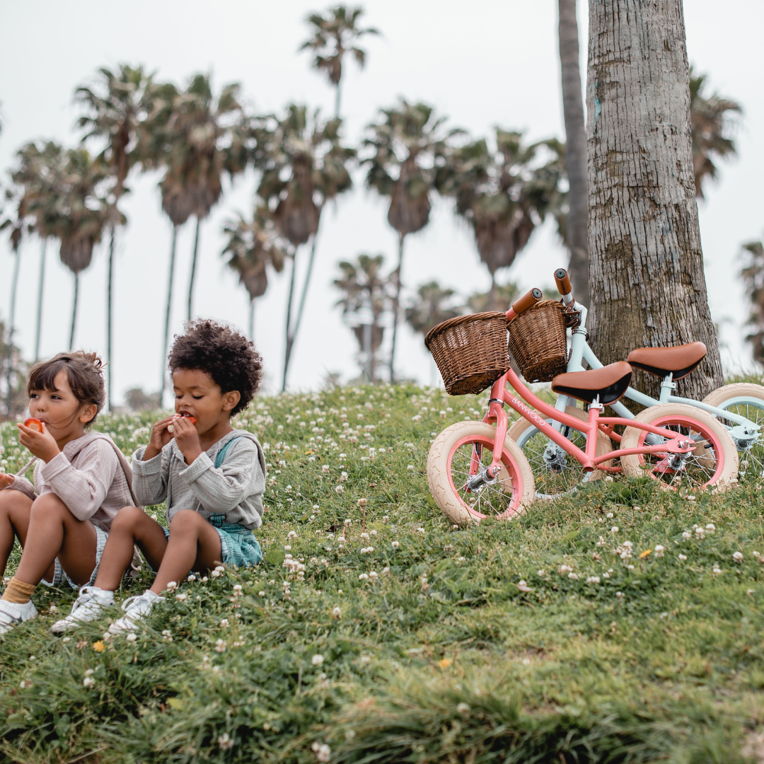 Draisienne 12 pouces 2,5 ans +