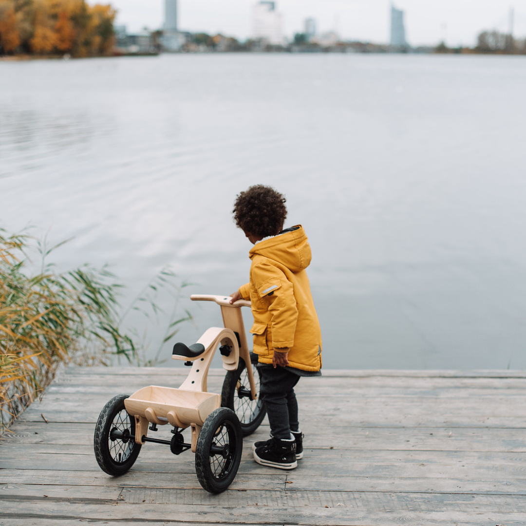 Tricycle pour draisienne 3-en-1 leg&go